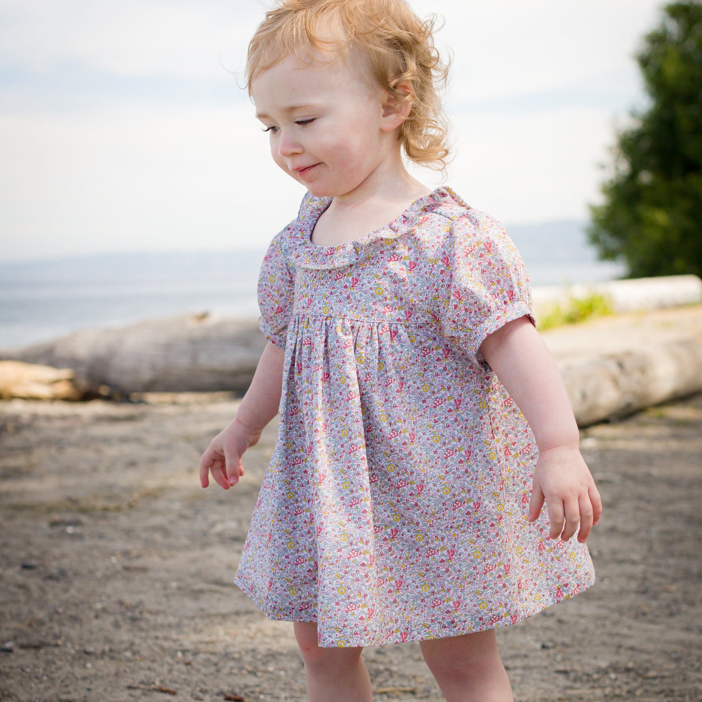 Toddler Girl Meadow Floral Emily Dress