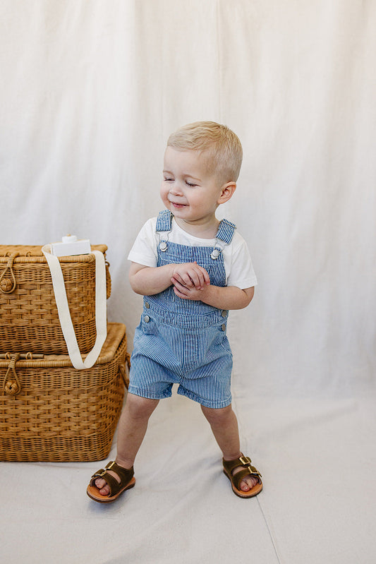 Blue Stripe Short Overalls