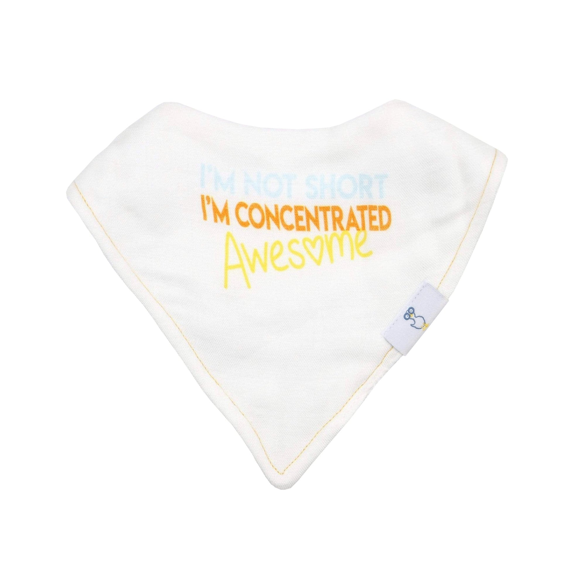 Awesome and Diamonds Muslin & Terry Cloth Bib Set - 2 Pack - Blissfully Lavender BoutiqueGoosewaddle® | Newborn Baby Blankets Toys Teethers Bibs & More