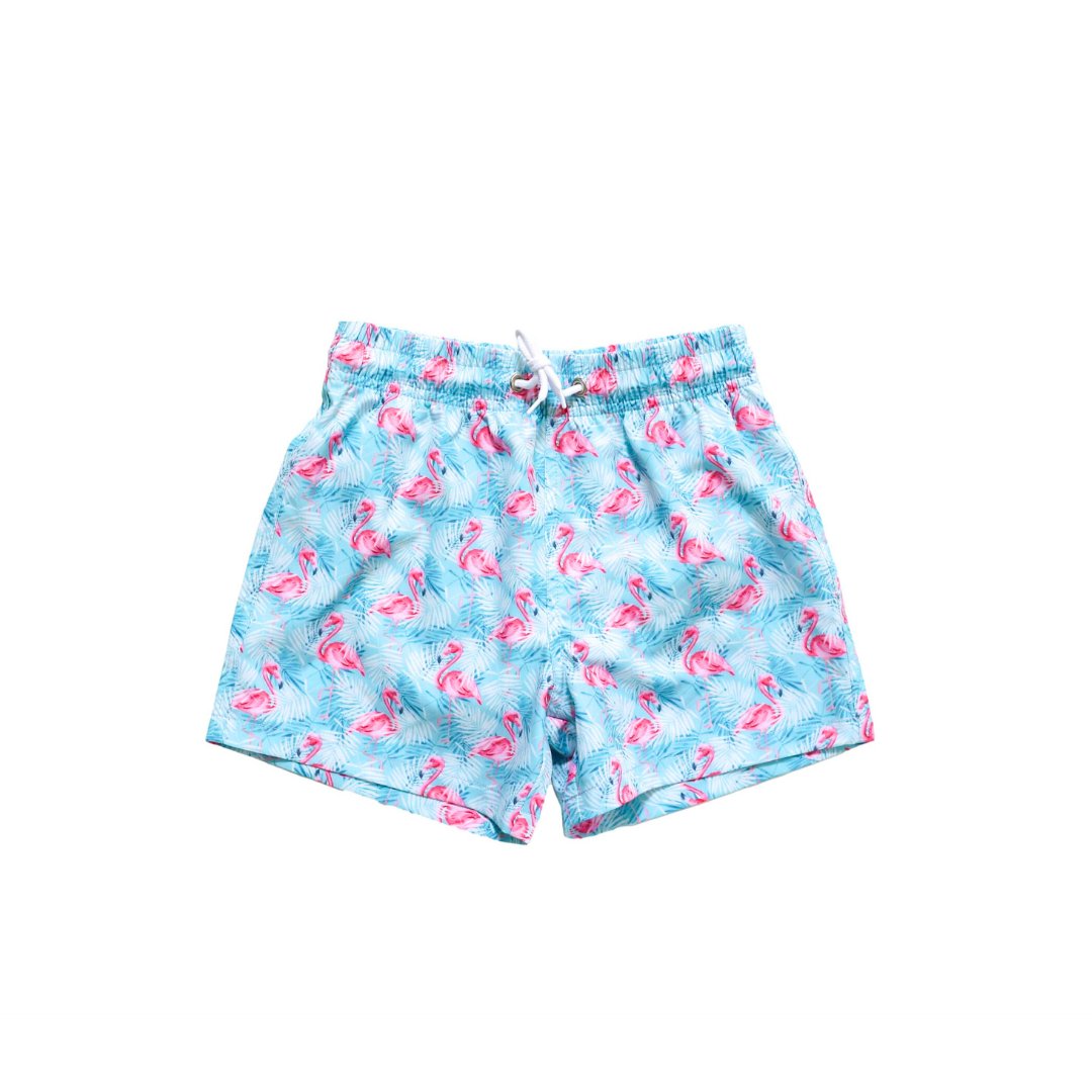 Boys Playa Flamingo Swim Trunks - Blissfully Lavender BoutiqueBlueberry Bay