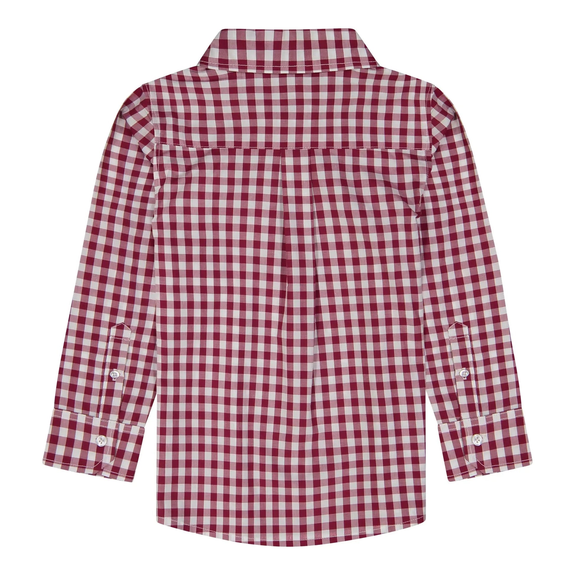 Boys Red Gingham Button Down - Blissfully Lavender BoutiqueAndy & Evan