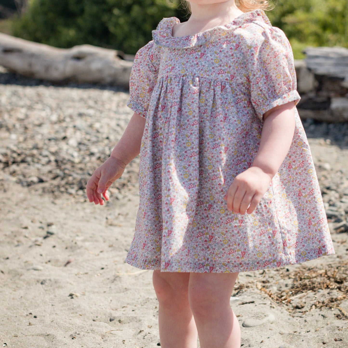 Toddler Girl Meadow Floral Emily Dress